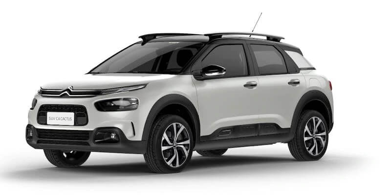 C4 Cactus 2021
