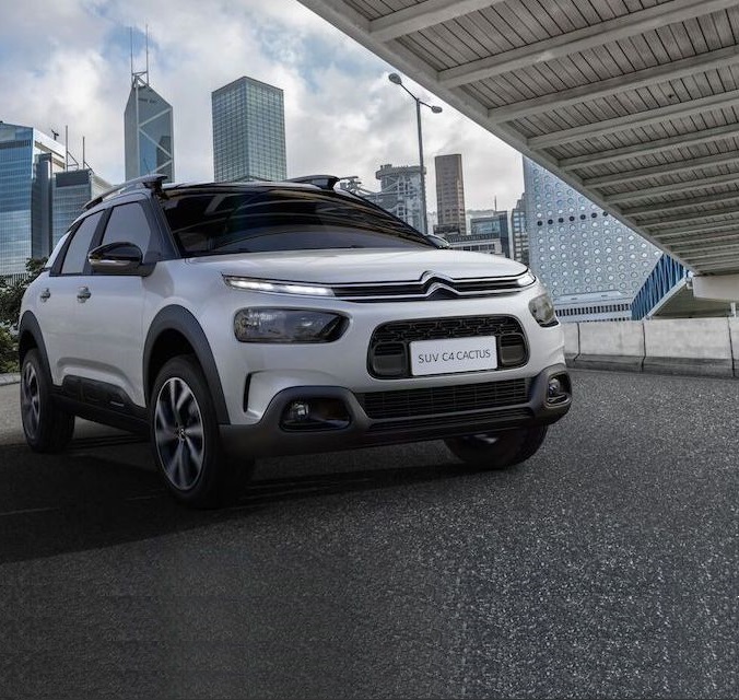 C4 Cactus 2021 Web Stories