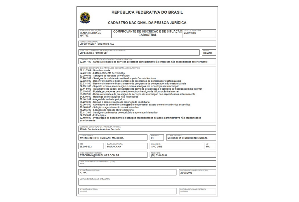 Captura de tela do CNPJ da empresa Vip Leilões