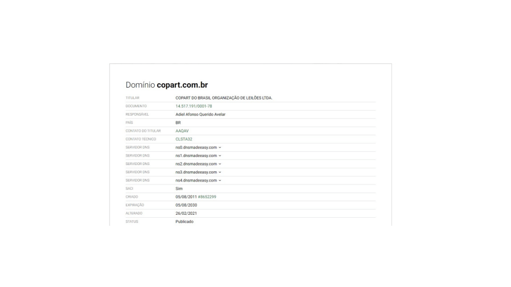 Imagem referente ao domínio do site em fundo branco