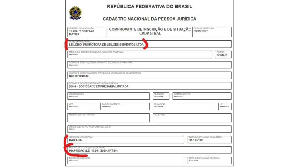Print da consulta do CNPJ