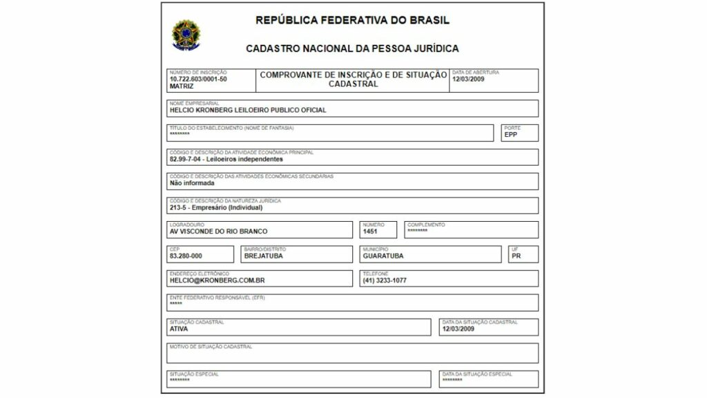 Print da consulta de CNPJ