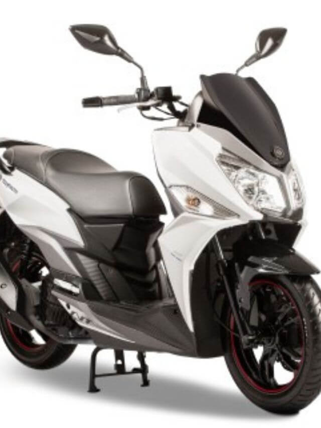 Cruisym parada na cor branca.