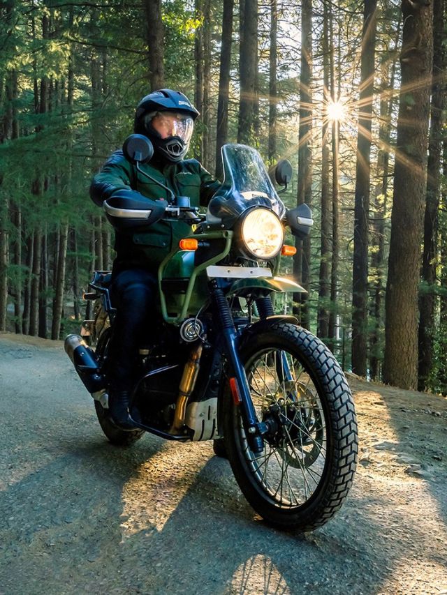 Himalayan na floresta.