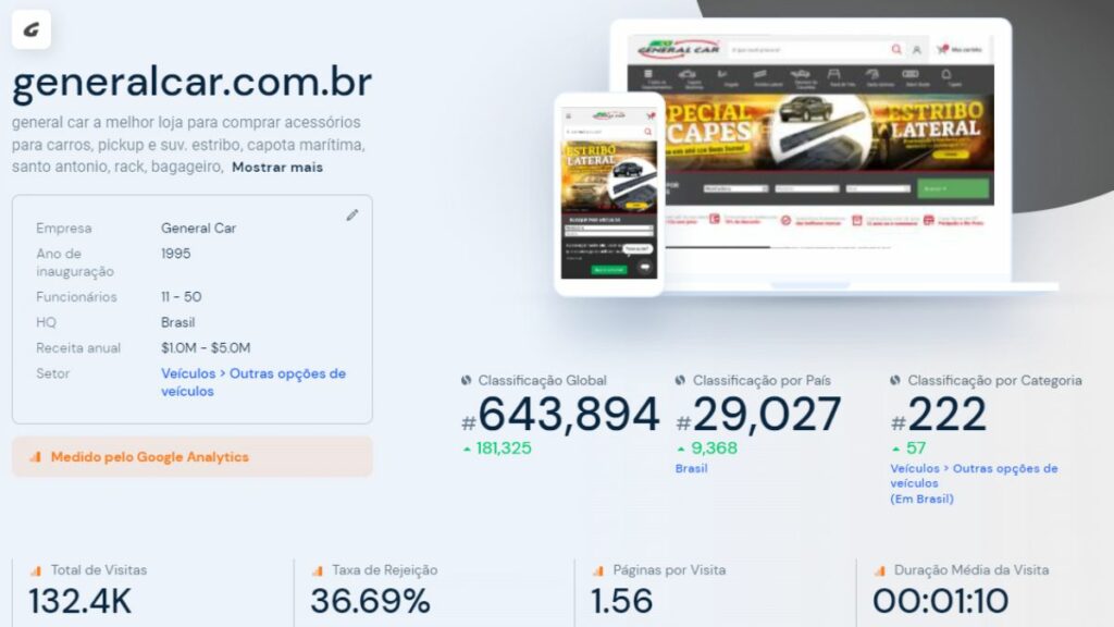 Print do tráfego do site