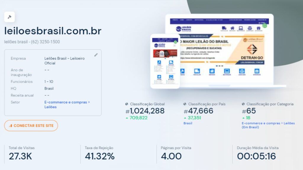 Print do tráfego da Leilões Brasil