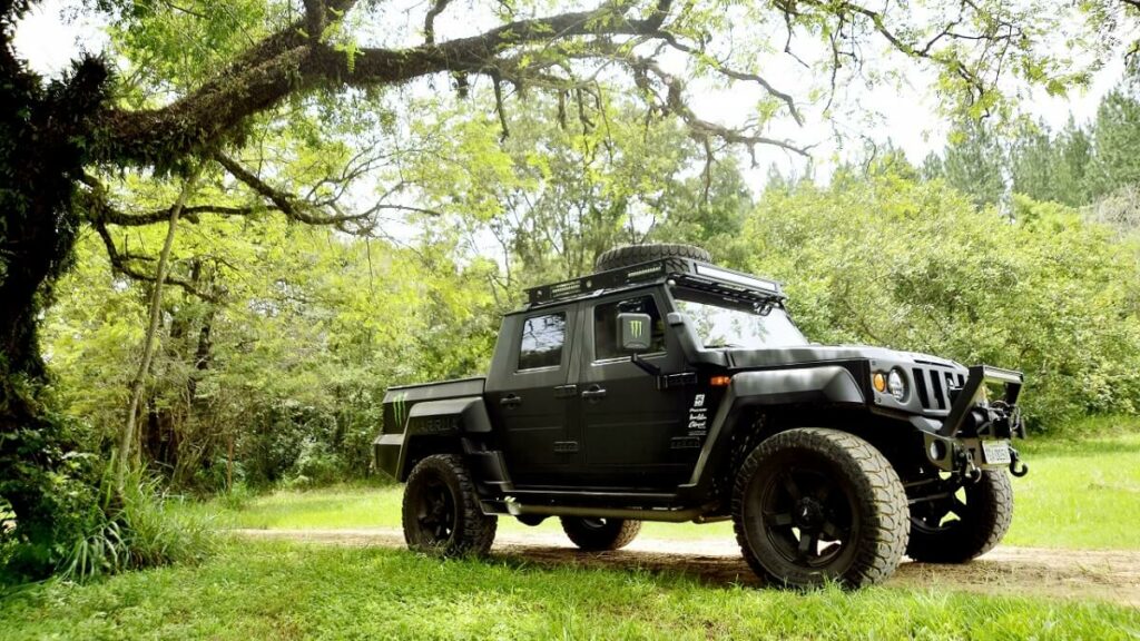 Marruá 2023 em um campo.