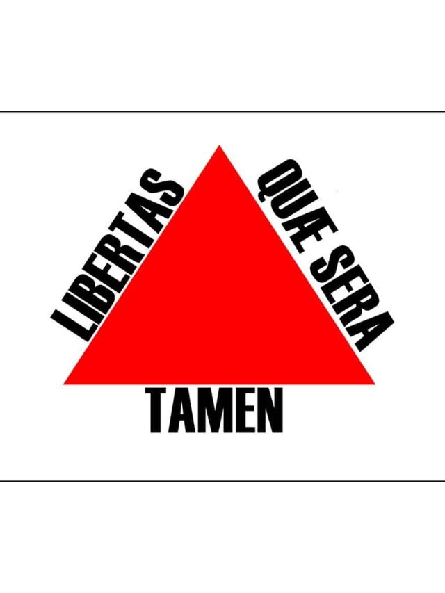 Bandeira do estado de MG.