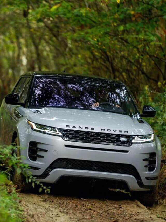 Evoque no mato.