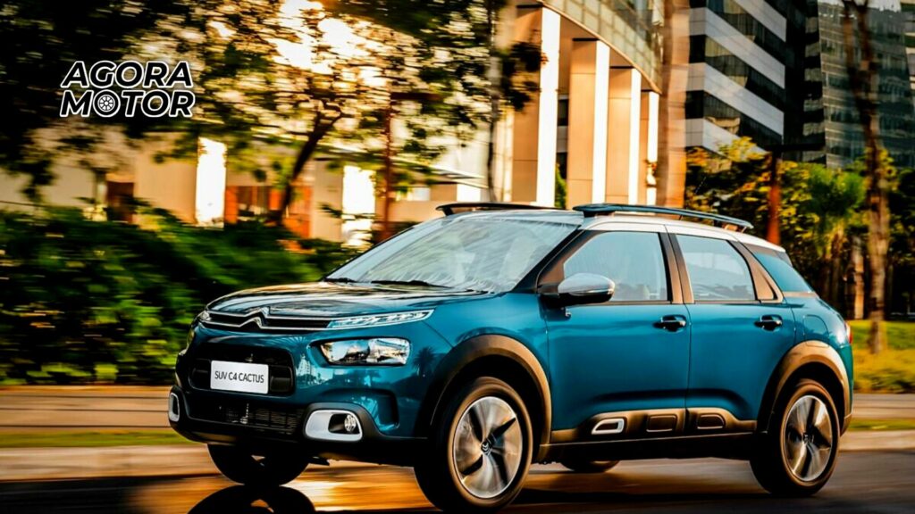 Foto de um C4 Cactus 2023