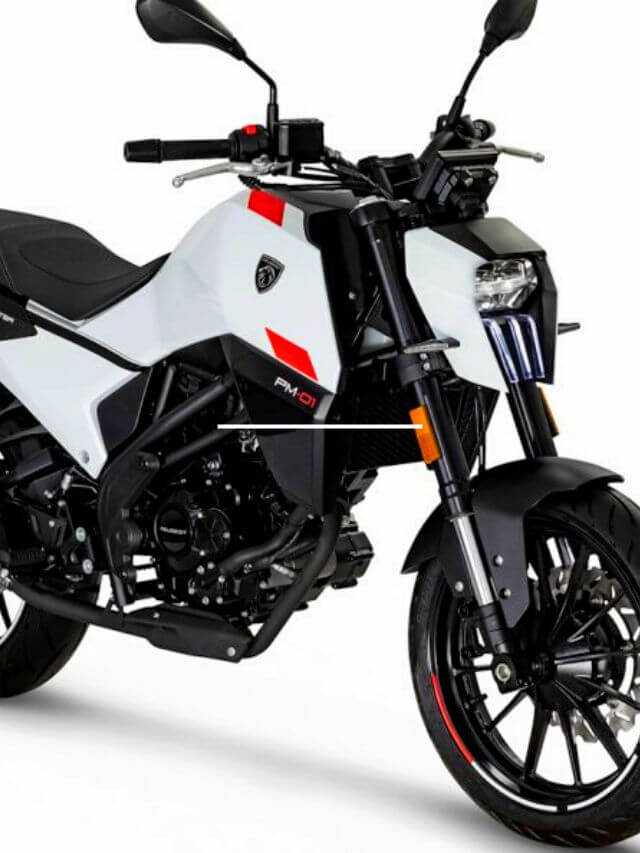 Foto de uma Peugeot PM-01 300 2023