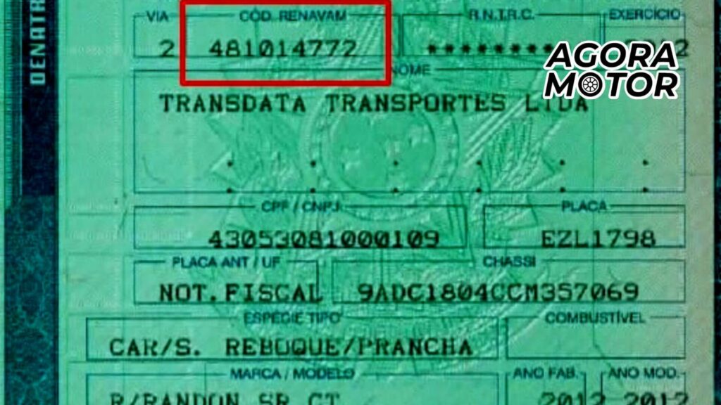 Foto do documento do Renavam