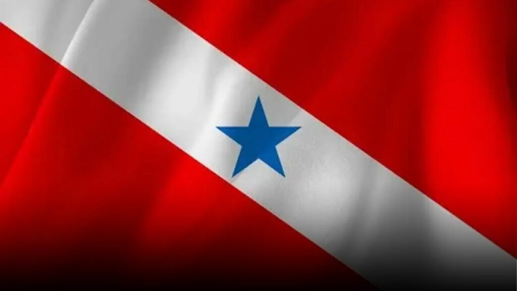 Bandeira do estado do Pará.