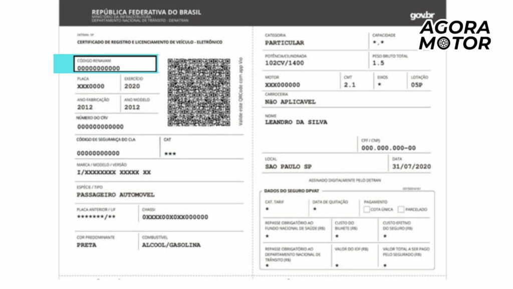 Foto do novo Renavam
