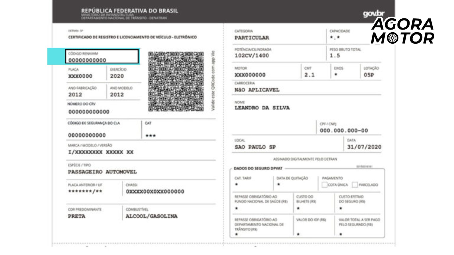 Foto do novo Renavam