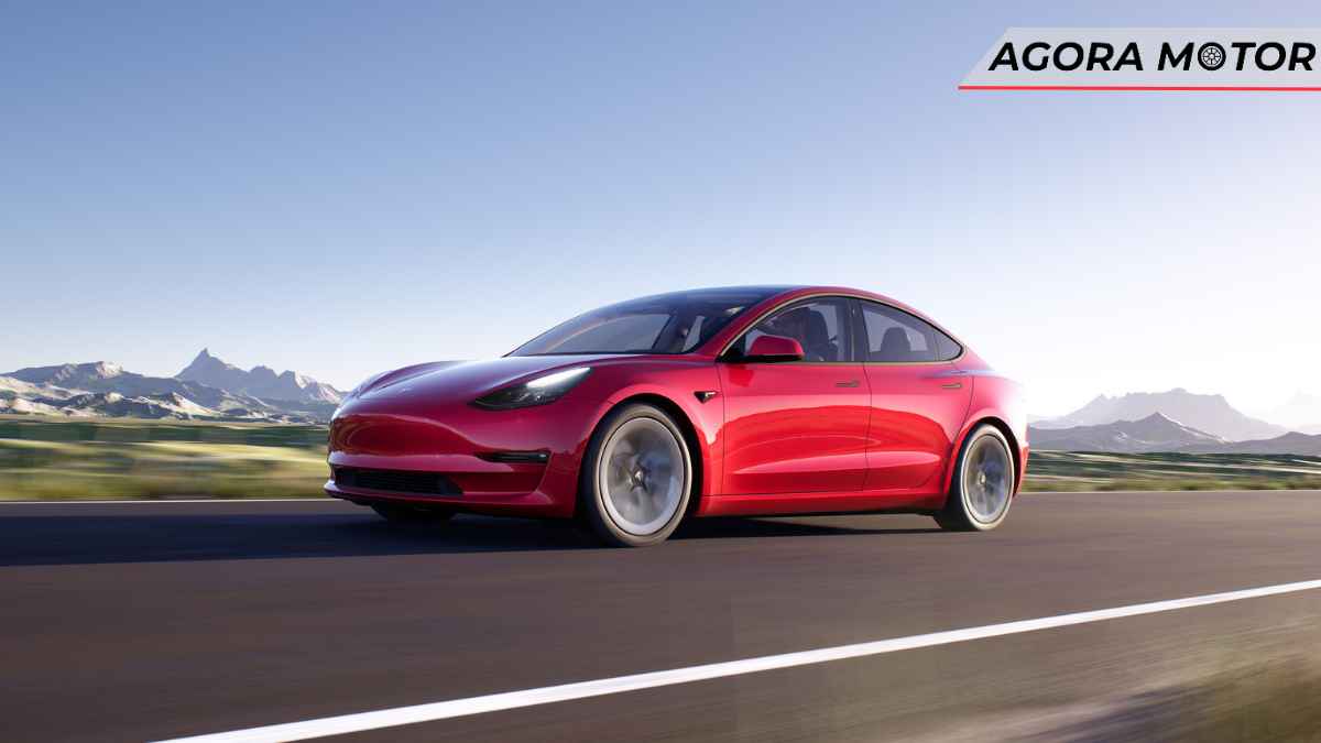 Carro elétrico especialistas divergem sobre qual é o melhor!