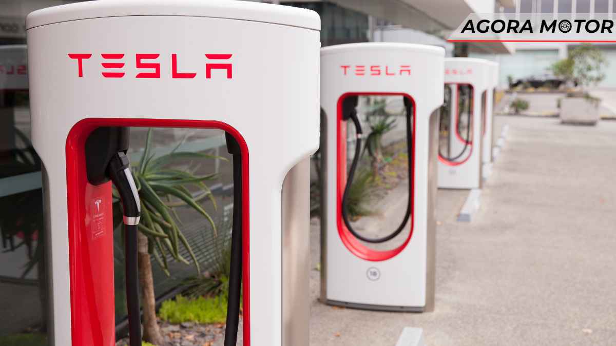 Projeto de lei quer proibir o uso de carros elétricos durante evacuações nos EUA