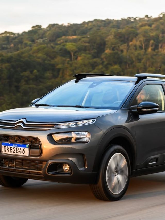 C4 Cactus Destaque