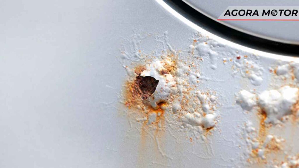 Luta contra a ferrugem