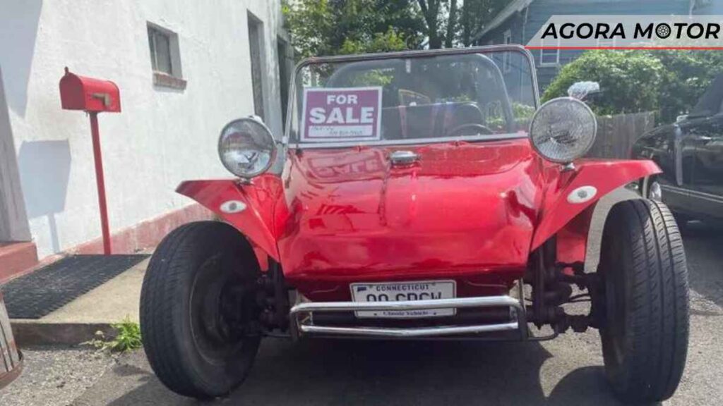 Myers Manx Beetle
