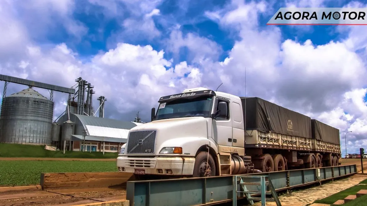 Câmara votou Medida Provisória que fez alterações no Código de Trânsito Brasileiros