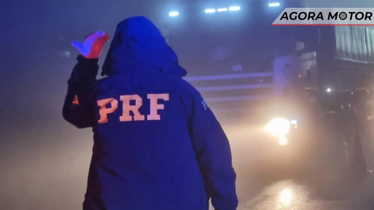 Cuidados para dirigir na neblina: saiba como agir em emergências