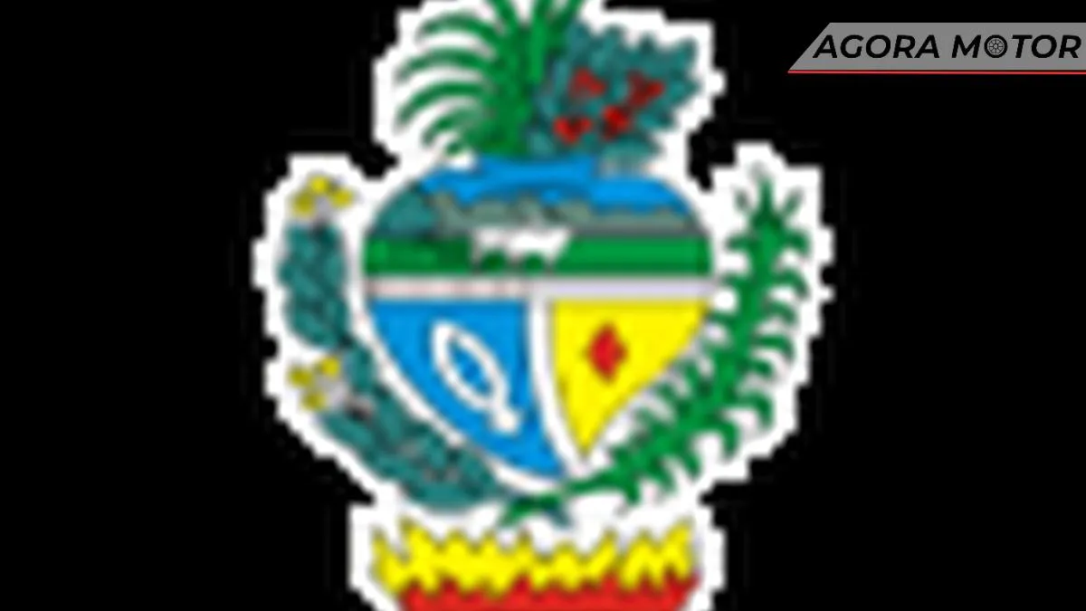 IPVA GO 2023: pagamento da 4ª parcela vai até 24 de abril