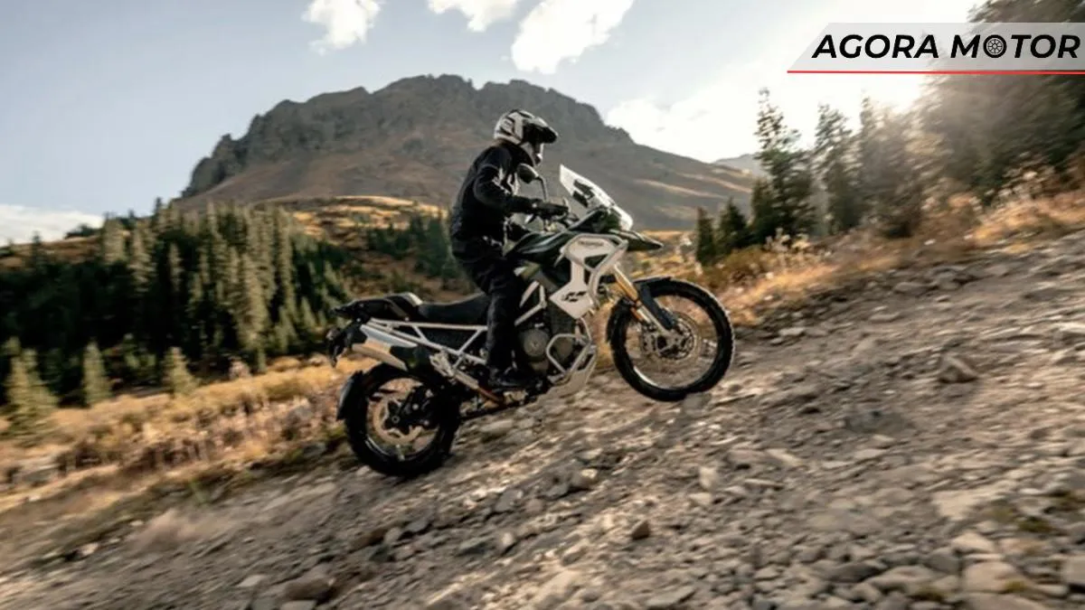 Triumph faz promoção de toda a linha Tiger oferecendo bônus de até R$ 6 mil Triumph faz promoção de toda a linha Tiger oferecendo bônus de até R$ 6 mil