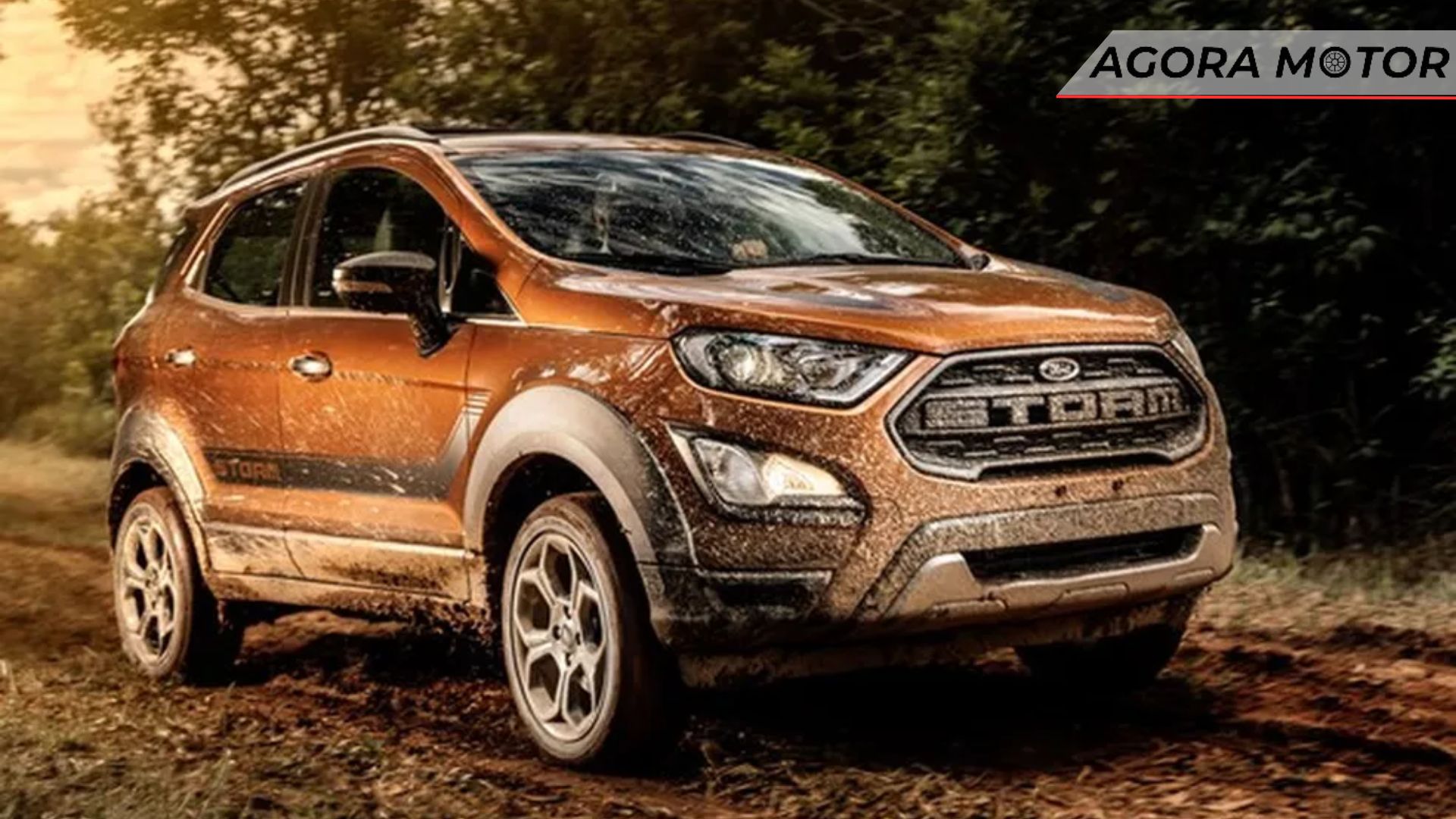 Ford Ecosport Storm.