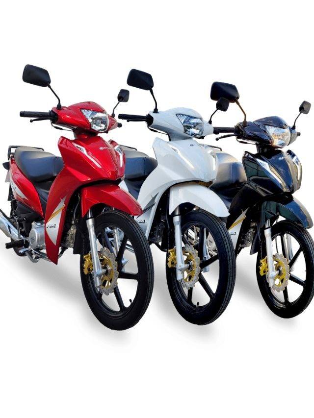 Avelloz AZ1 2024: Preço, Potência, Consumo e Fotos