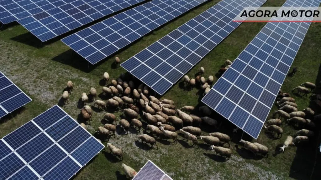 A energia solar está prestes a ultrapassar o investimento em produção de petróleo pela primeira vez