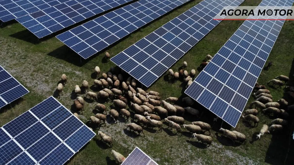 A energia solar está prestes a ultrapassar o investimento em produção de petróleo pela primeira vez