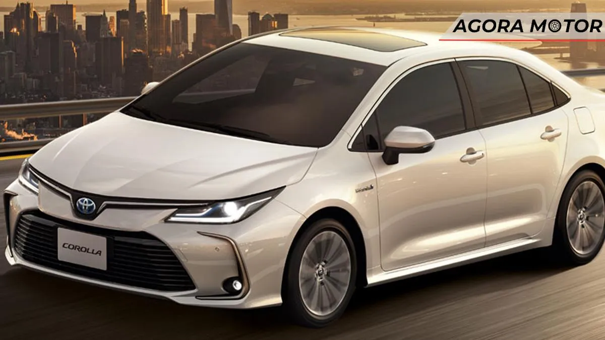 Esses carros são potentes e não gastam muito para manter