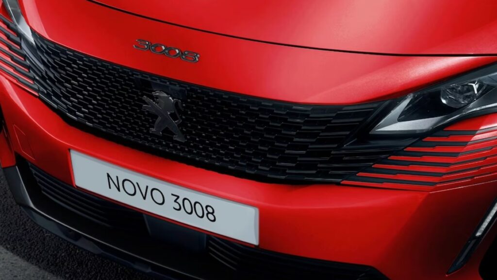 Detalhes da grade do 3008 2024