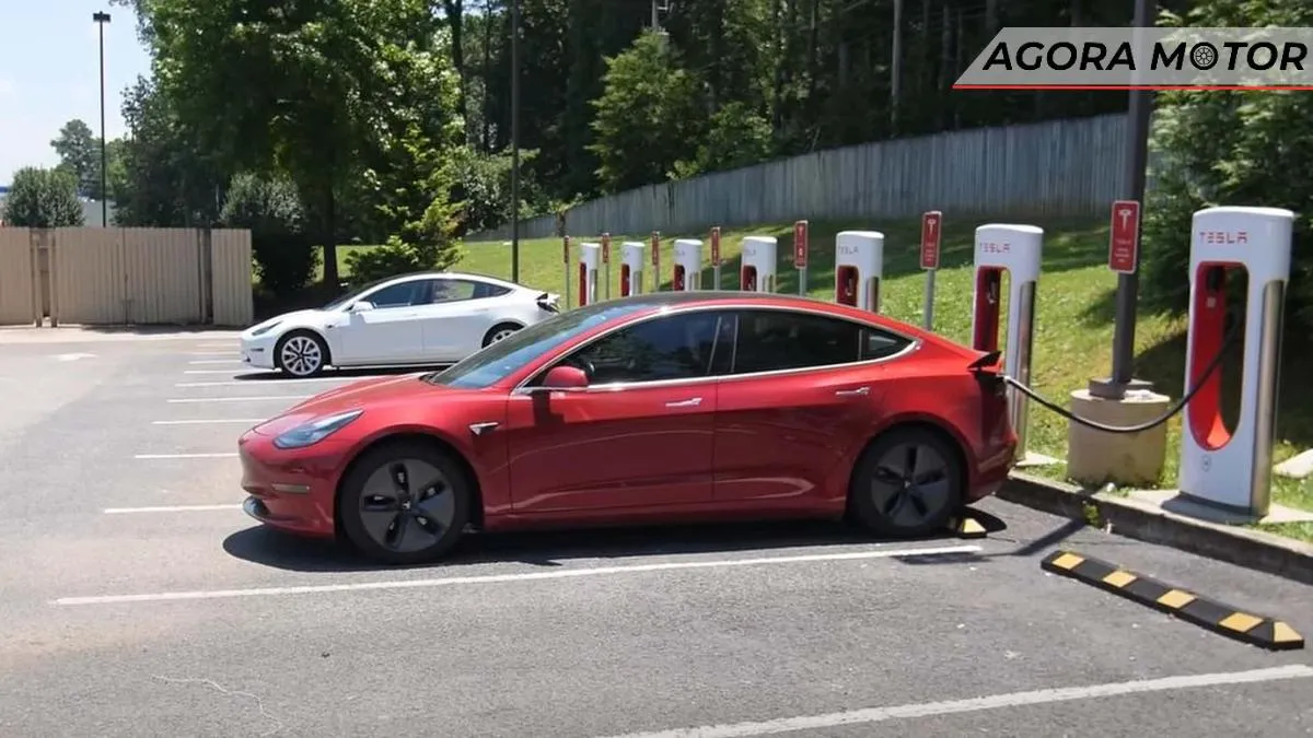 Opinião do dono: vale a pena ter um Tesla 2018 com 12 mil milhas e bateria fora da garantia?