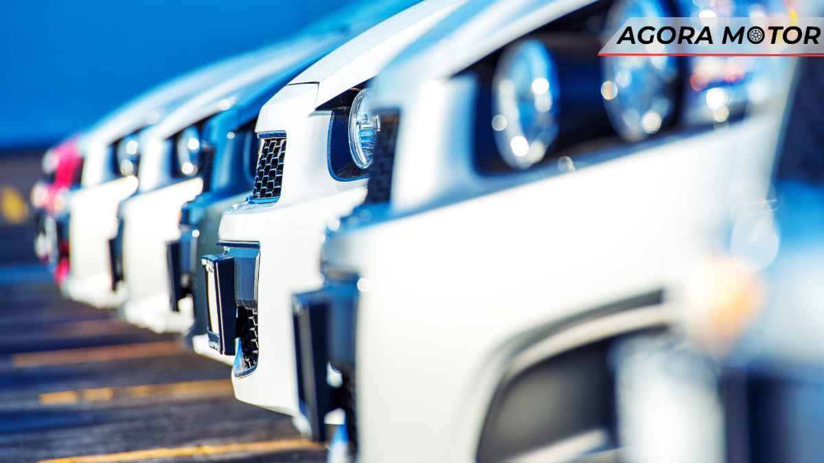 Conheça os 31 modelos em 233 versões do programa carro popular