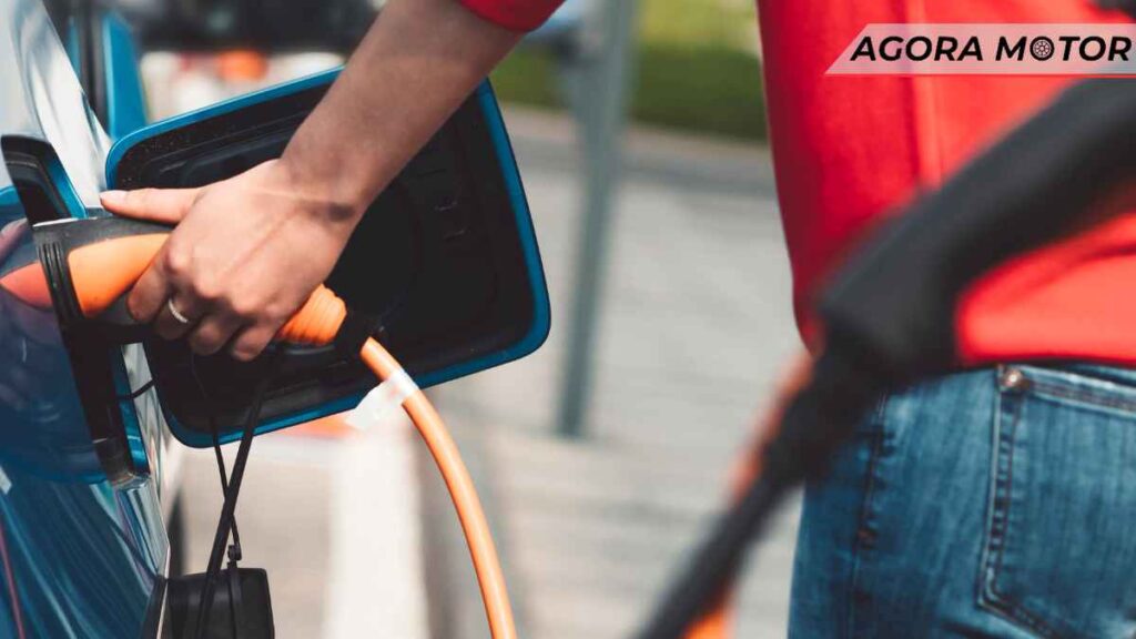 Consumidores preferem produtos sustentáveis e estão dispostos a pagar mais, revela pesquisa