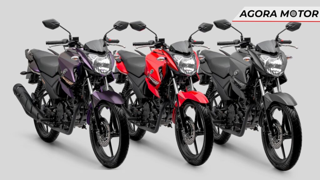 Cores da Fazer 150 2024.