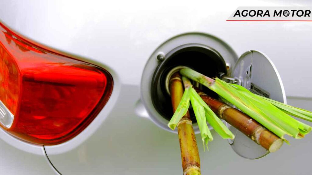 O governo está planejando aumentar a proporção de etanol na gasolina como uma medida para o combustível do futuro