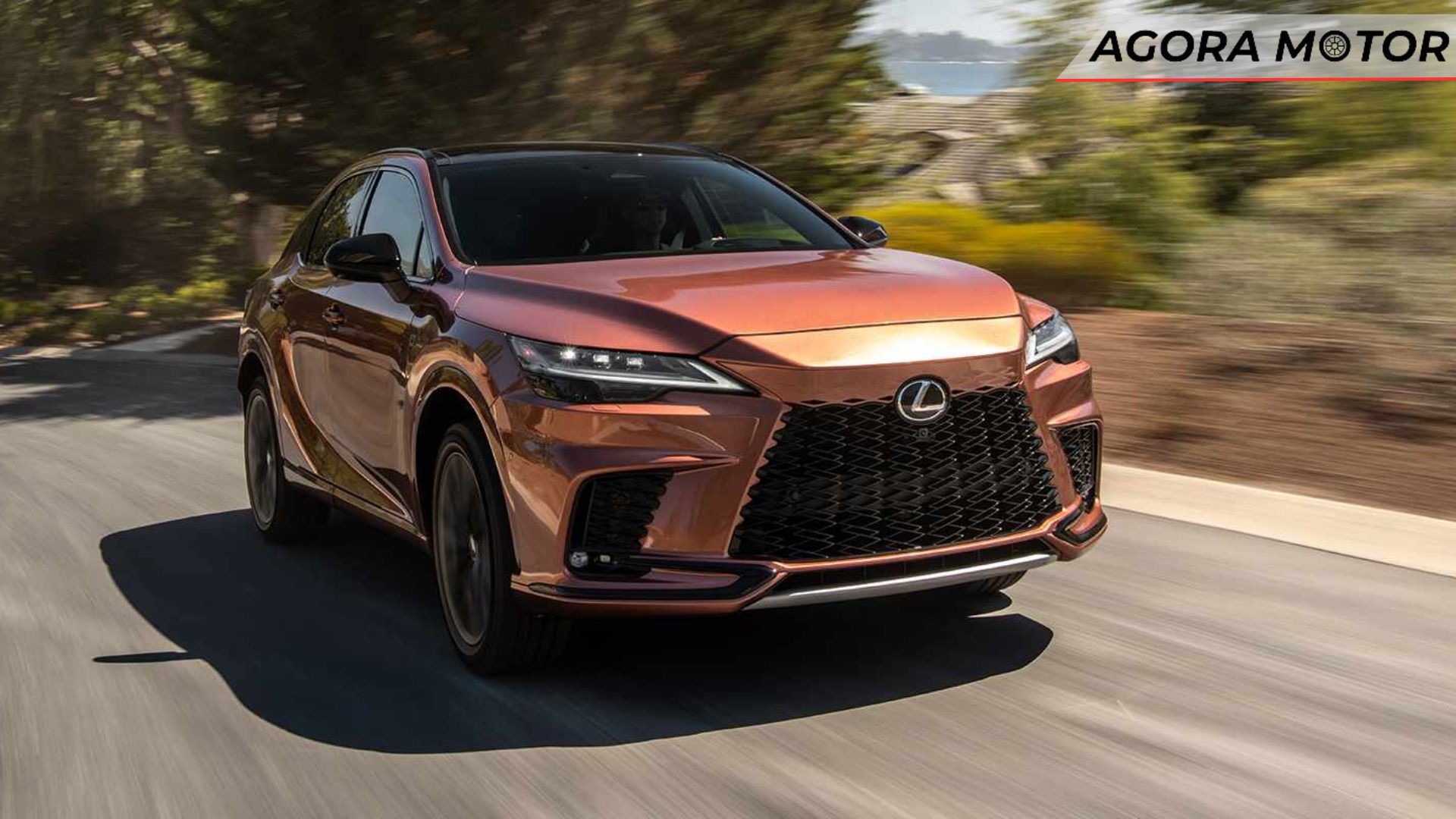 RX 500h 2024 em movimento