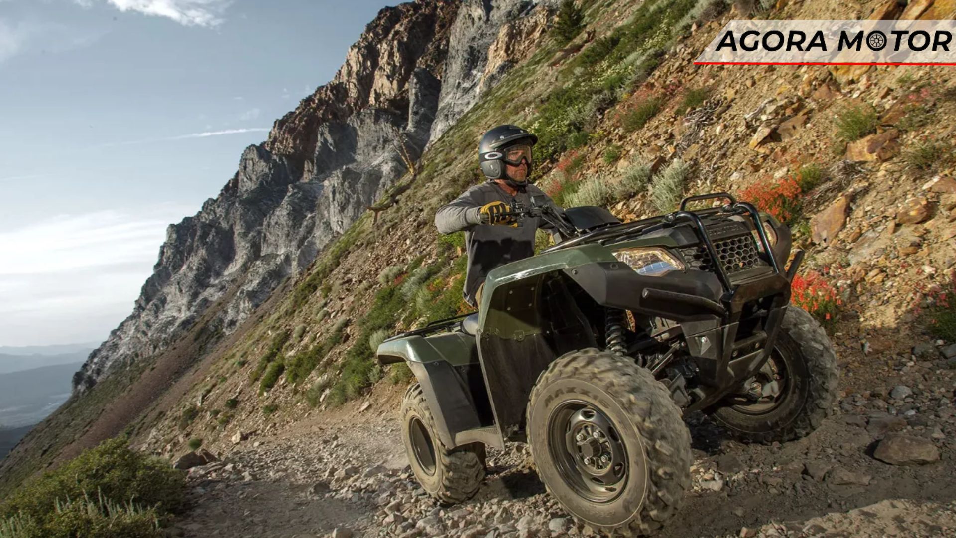 TRX 420 Fourtrax 2024.