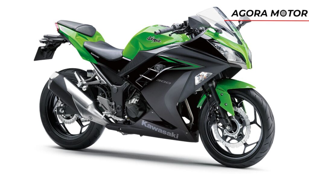 Visual da Ninja 300 2024.