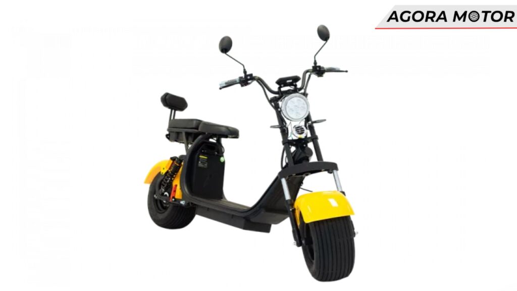 PT-03 2024 amarela
