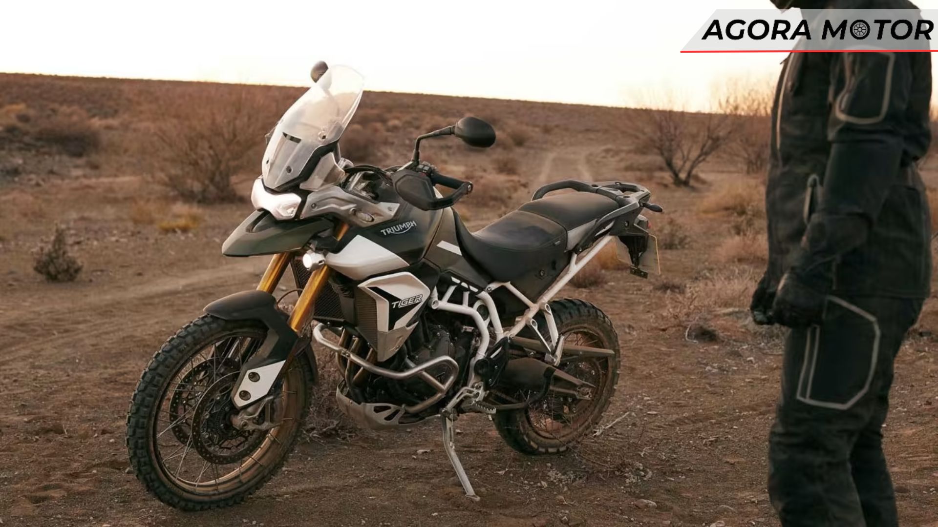 Tiger 900 2024 preta