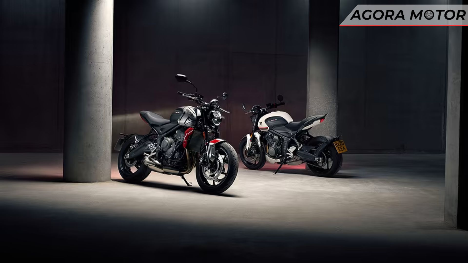 duas Trident 660 2024