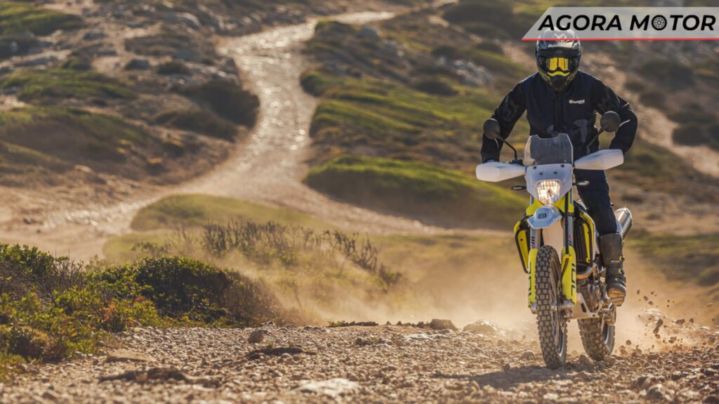 701 2024 em movimento