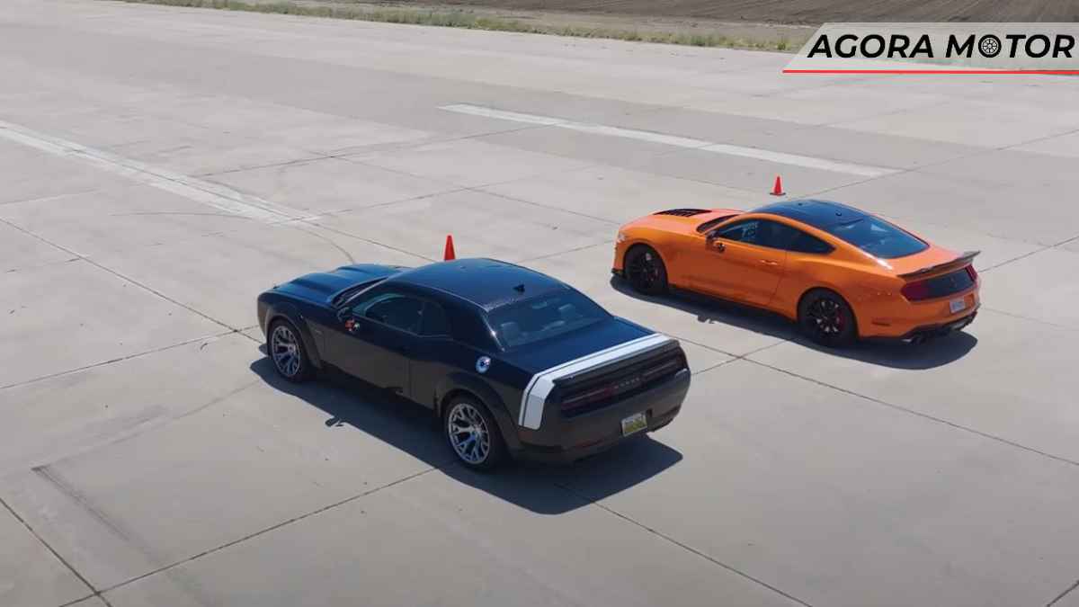 Mustang Shelby GT500 Vs Dodge Challenger Black Ghost a diferença entre um muscle car e um esportivo!