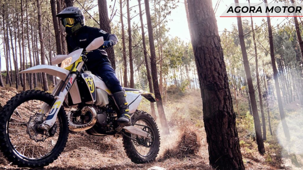TE 300i 2024 em movimento na floresta