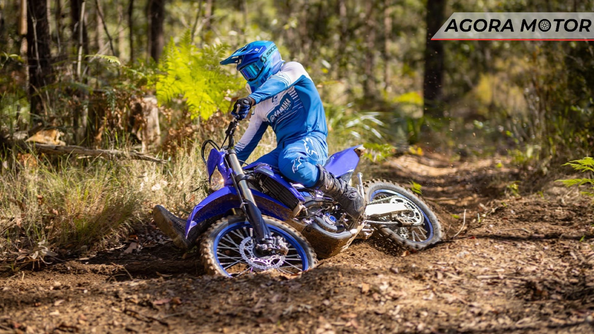 Yamaha WR 450 F rally.