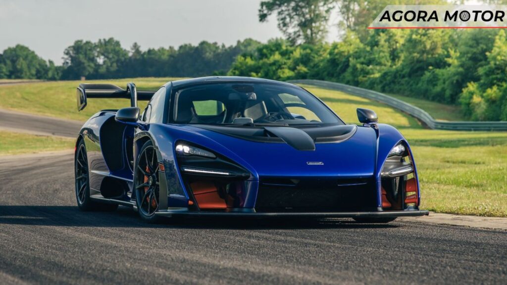 Senna 2024 azil